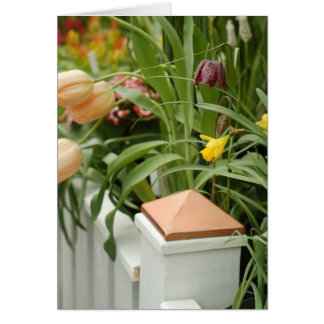 Cartão Porta de Flores
