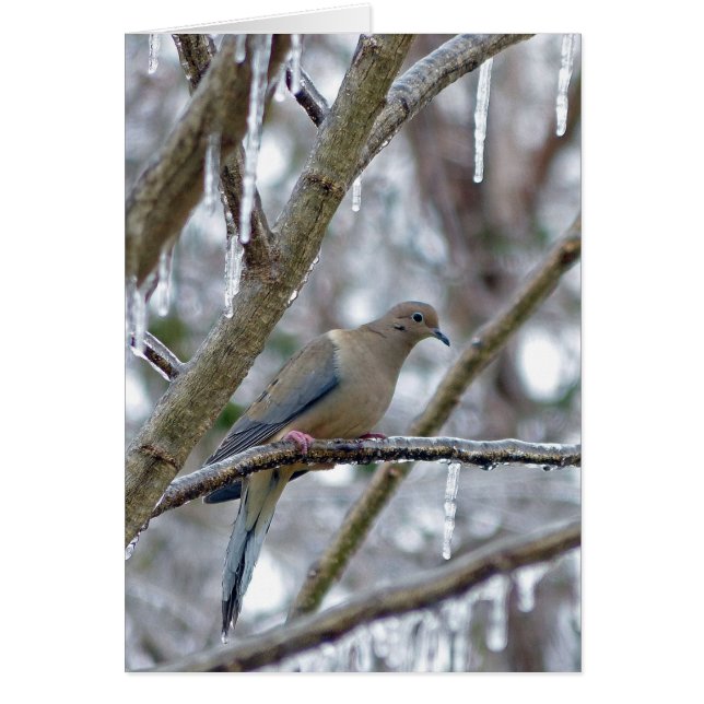 Cartão Porta de luto (Frente)