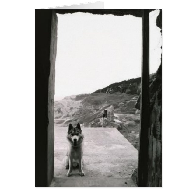 Cartão Porta do Cachorro (Frente)