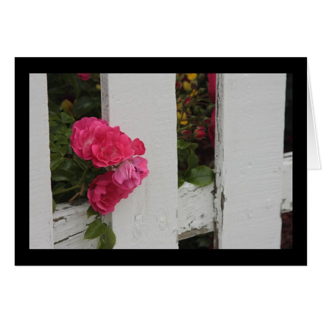 Cartão Porta do Jardim (Frente Horizontal)