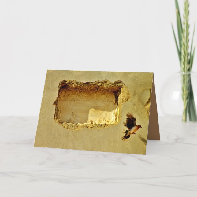 Cartão Porta em Voo (Frente)