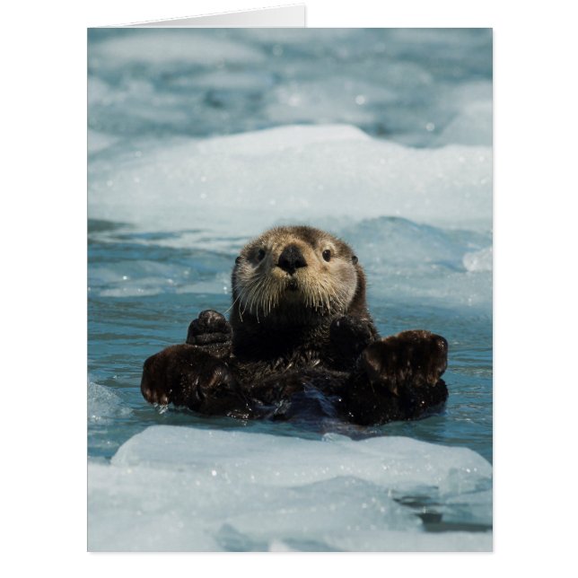 Cartão Porta flutuante (Frente)