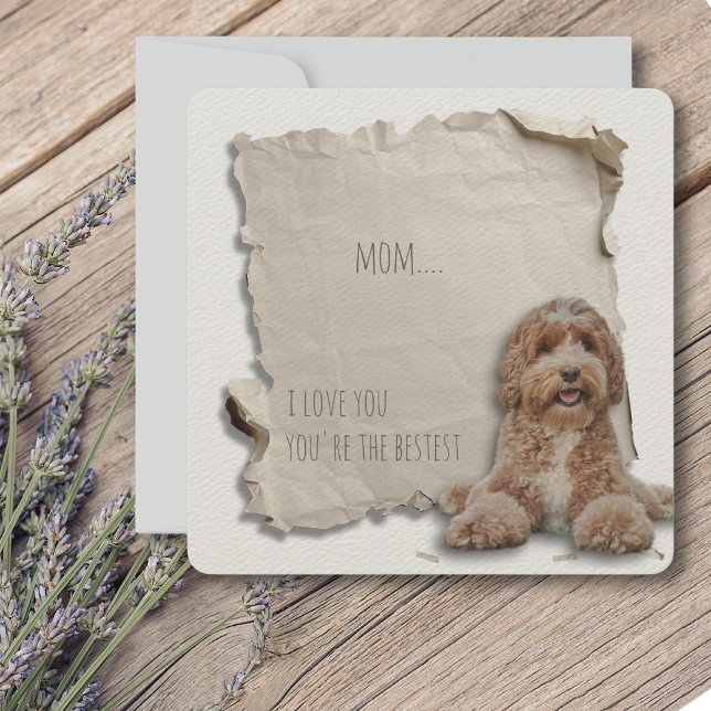 Cartão Porta-Ouro Personalizada da Placa de Dia de as mãe (Mothers Day is a great time to show mom how special she is, but any day is a day to say I love you!)