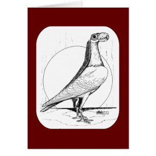 Cartão Portadora Inglesa Pigeon1978