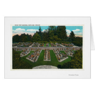 Cartão Portland, OregonView dos Jardins de Teste de Rosa