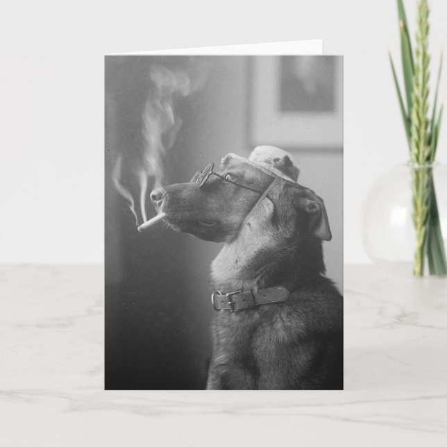 Cartão Portrait of a Dog, 1923 (Frente)