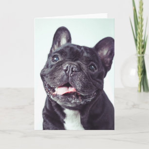 Cartão Portrait of a Happy French Bulldog