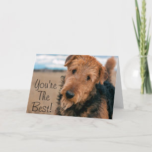 Cartão Portrait of an Airedale Terrier