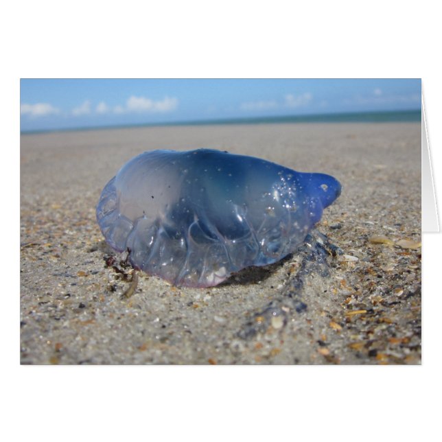 Cartão Português - Segunda Guerra (Frente horizontal)