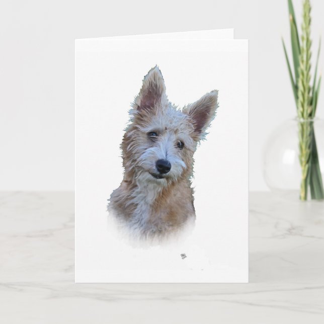 Cartão Portuguese Podengo (Frente)