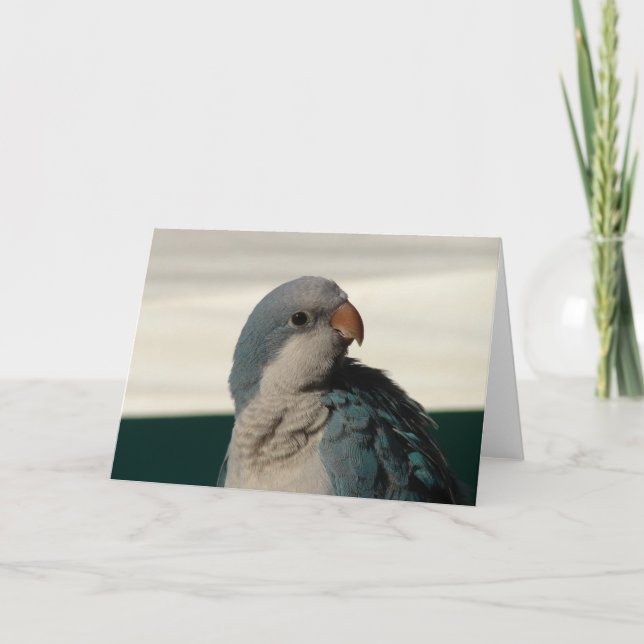 Cartão Posicionamento para a Câmera (Frente)