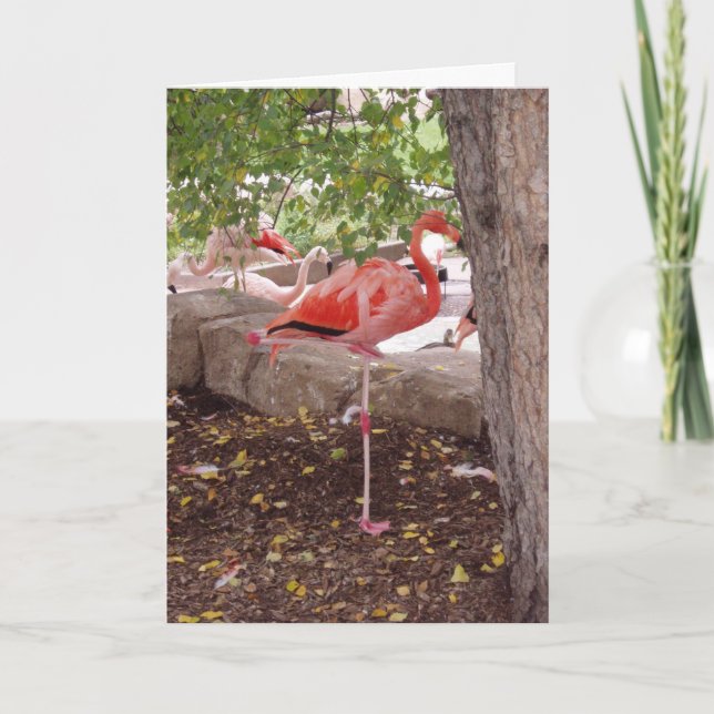 Cartão "Posing Flamingo" Thank You Card (Frente)