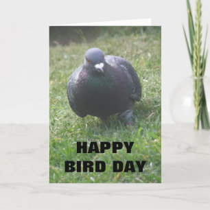 Cartão Posing Pigeon Custom Birthday Card