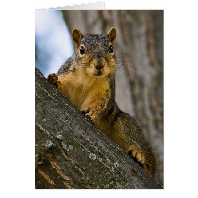 Cartão Posso Estar Interessado (Frente)