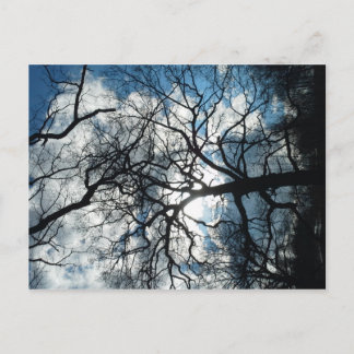 Cartão Postal
