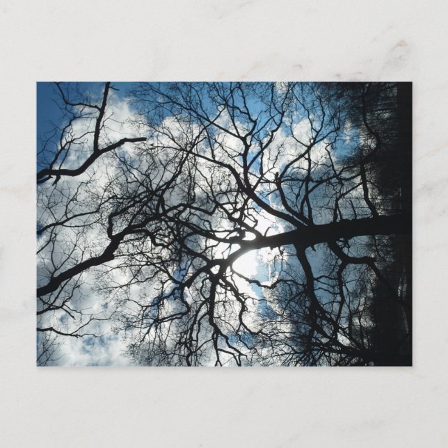 Cartão Postal (Frente)