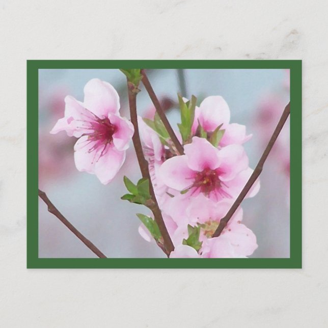 Cartão postal (Frente)