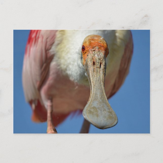 Cartão postal (Frente)