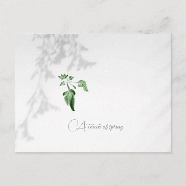 Cartão postal  (Frente)