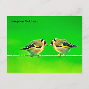 Cartão postal