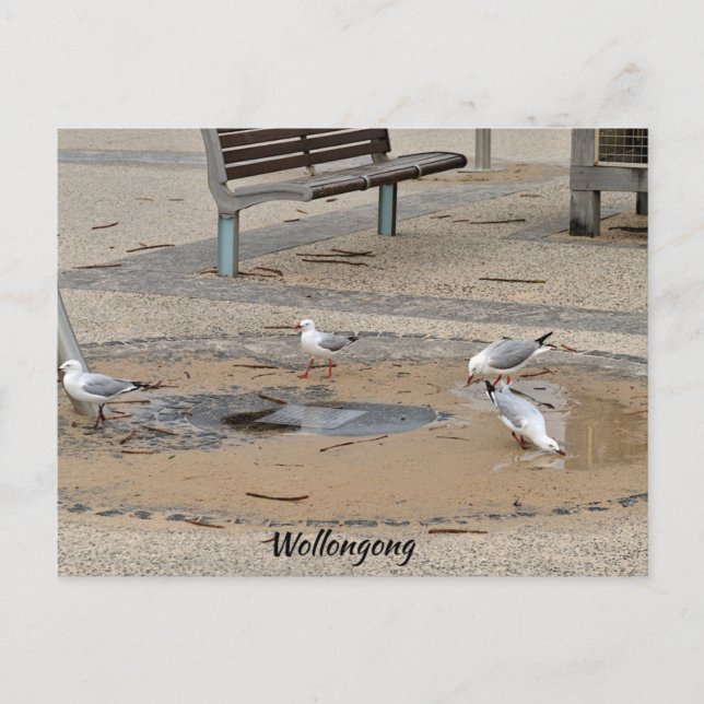 Cartão postal (Frente)