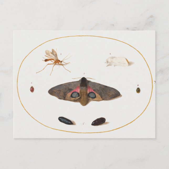 Cartão postal (Frente)