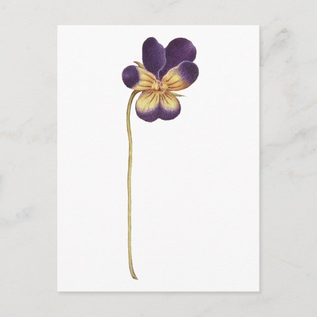 Cartão postal (Frente)