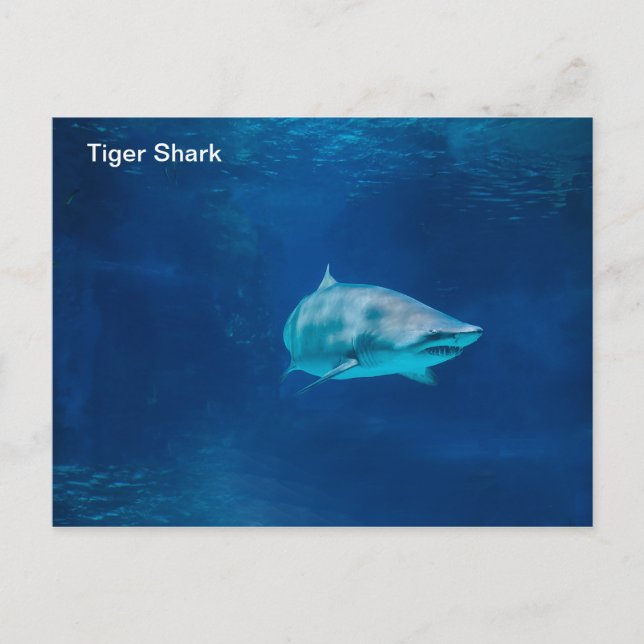 Cartão postal (Frente)