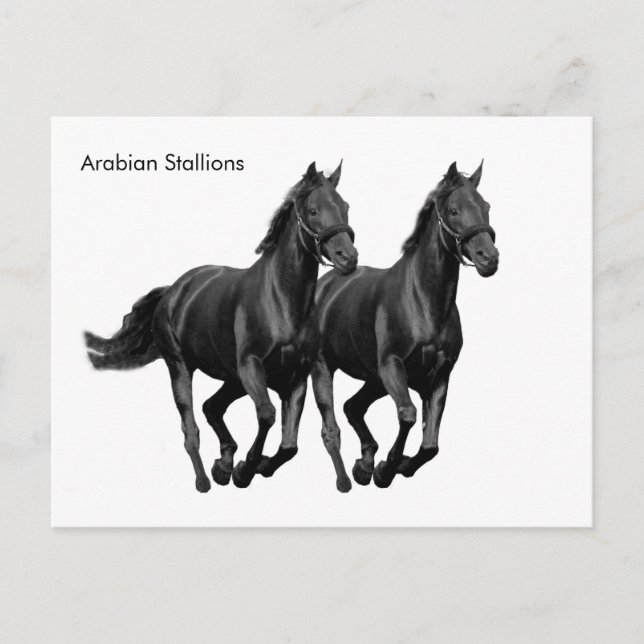 Cartão postal (Frente)