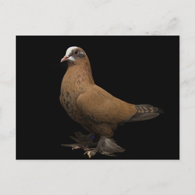 Cartão postal (Frente)