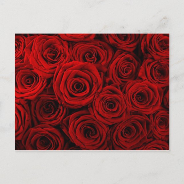 Cartão postal (Frente)