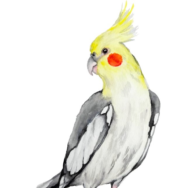 Cartão postal (Criador carregado)