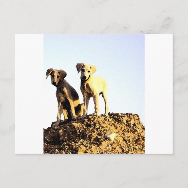 Cartão Postal (Frente)