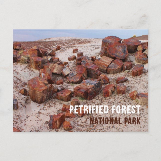 Cartão postal (Frente)