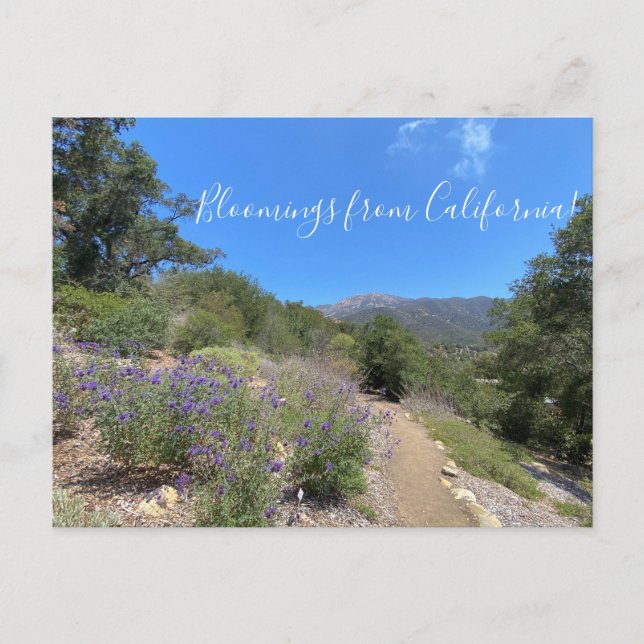 Cartão postal (Frente)