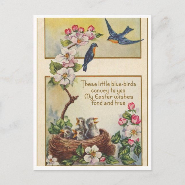 Cartão postal (Frente)