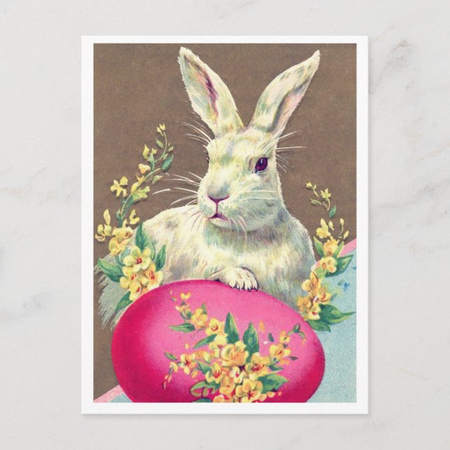 Cartão postal (Frente)