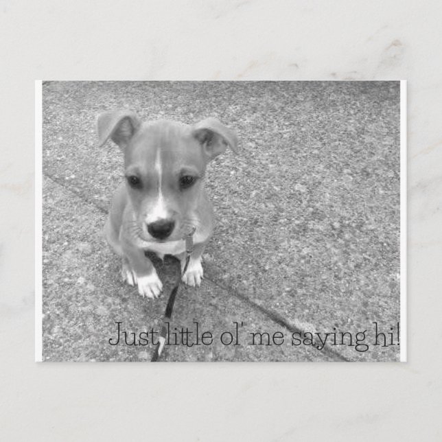 Cartão postal (Frente)