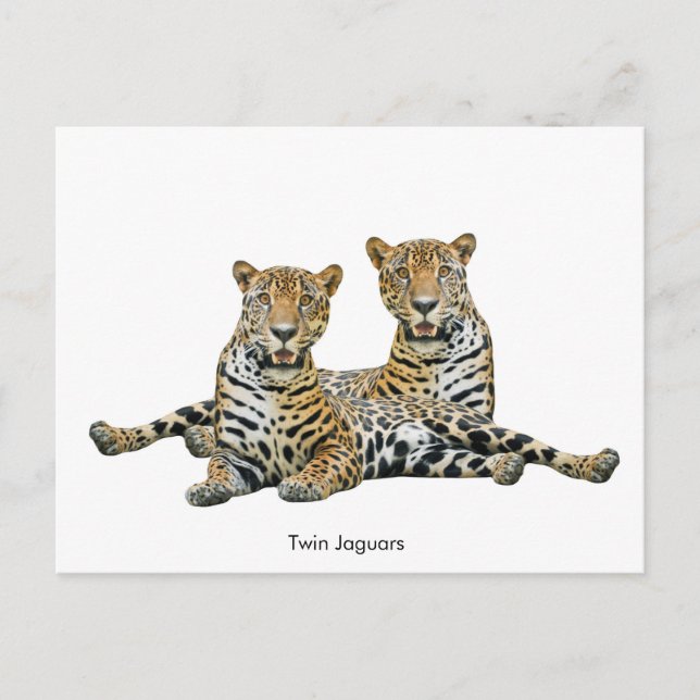 Cartão postal (Frente)