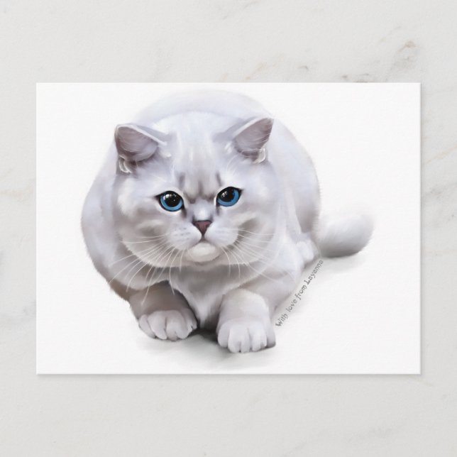 Cartão Postal С na raça British Shorthair (Frente)