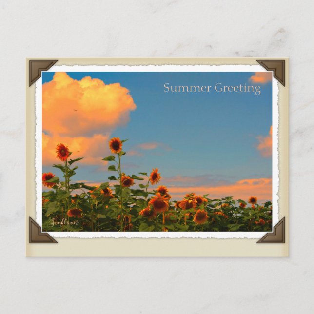 CARTÃO POSTAL ひ ま わ り (Frente)