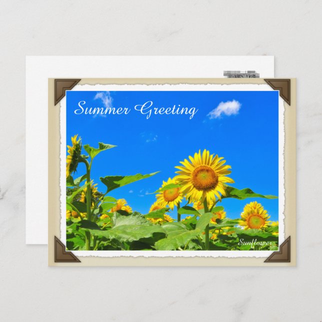 CARTÃO POSTAL ひ ま わ り (Frente/Verso)