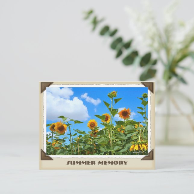 CARTÃO POSTAL ひ ま わ り (Em pé/Frente)