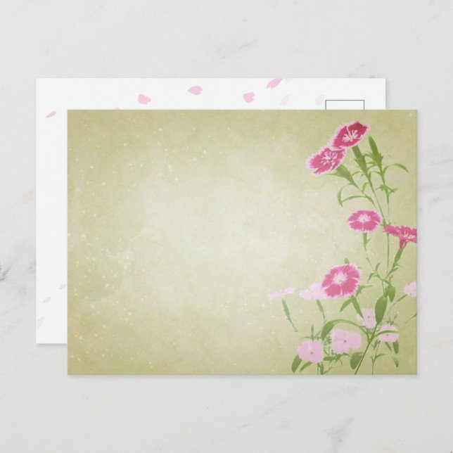 CARTÃO POSTAL やさしさを届ける＊撫子のポストカード (Frente/Verso)