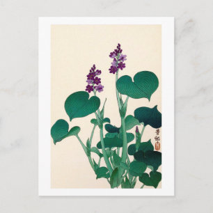 Cartão Postal ギ ボ の 花, 古 Purlowering Hosta, Ohara Koson