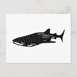 Cartão Postal ジ ン ベ イ ザ メ tubarão de baleia, rhinco