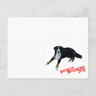 Cartão Postal バ Equipe ニ ズ マ ウ ン ン テ ド  .