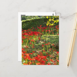 CARTÃO POSTAL ヒガンバナ