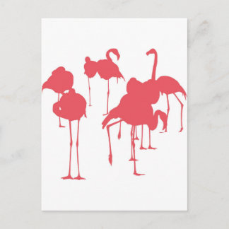 CARTÃO POSTAL フ ラ ミ ン ゴ