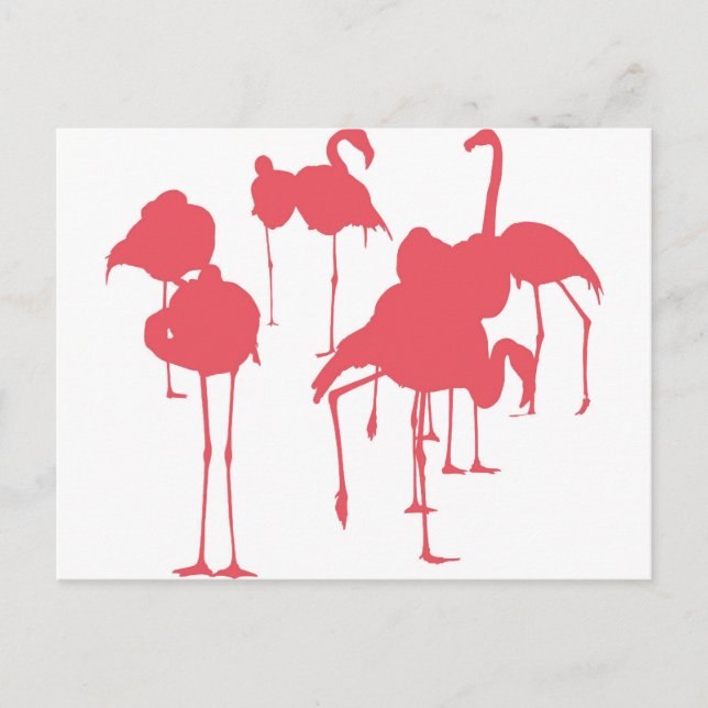 CARTÃO POSTAL フ ラ ミ ン ゴ (Frente)